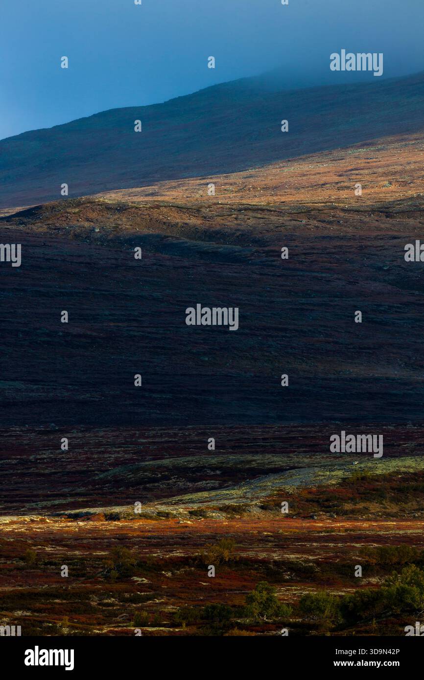 Aree soleggiate e all'ombra nel vasto e bellissimo paesaggio del parco nazionale Dovrefjell-Sunndalsfjella, Dovre, Norvegia. Foto Stock