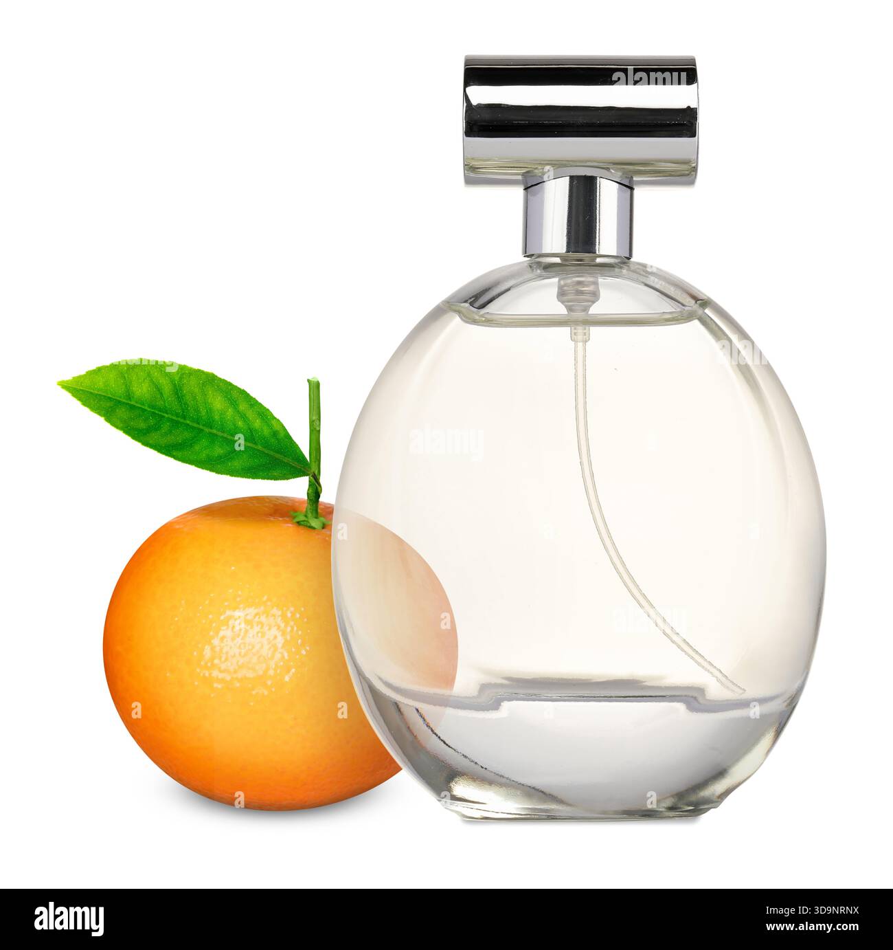 Profumo di agrumi e mandarino fresco isolato su bianco Foto Stock