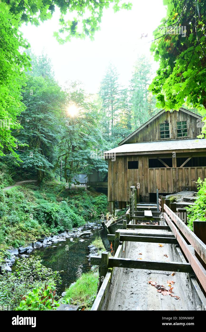 Il canale che fornisce acqua al Cedar Creek Grist Mill, situato vicino a Woodland, Washington, USA. Foto Stock
