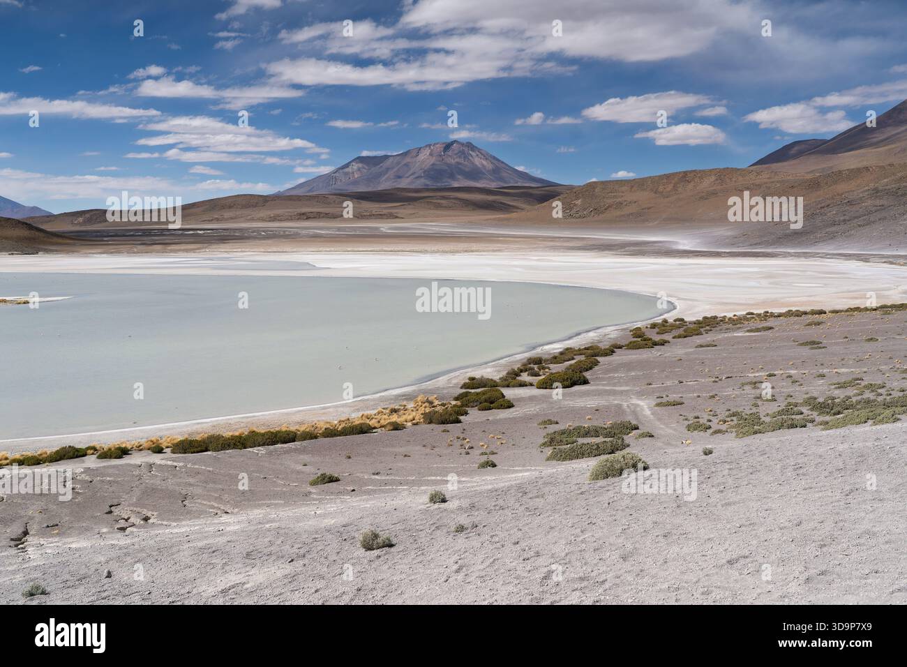 Paesaggio panoramico delle acque pallide di Laguna Honda in Bolivia con picco di montagna Foto Stock