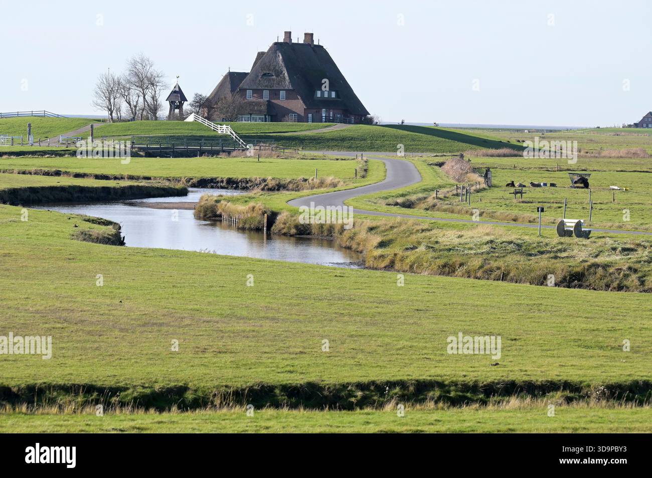 GERMANIA, Schleswig-Holstein, Frisia settentrionale, isola di Northsea Hallig Hooge, palude e ward con chiesa protestante / Deutschland, Schleswig-Holstein, Hallig Hooge, evangelische Kirche auf der Kirchwarft Foto Stock