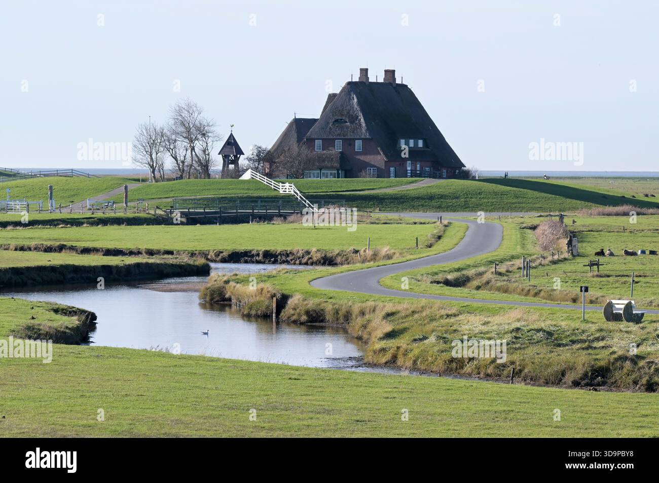GERMANIA, Schleswig-Holstein, Frisia settentrionale, isola di Northsea Hallig Hooge, palude e ward con chiesa protestante / Deutschland, Schleswig-Holstein, Hallig Hooge, evangelische Kirche auf der Kirchwarft Foto Stock