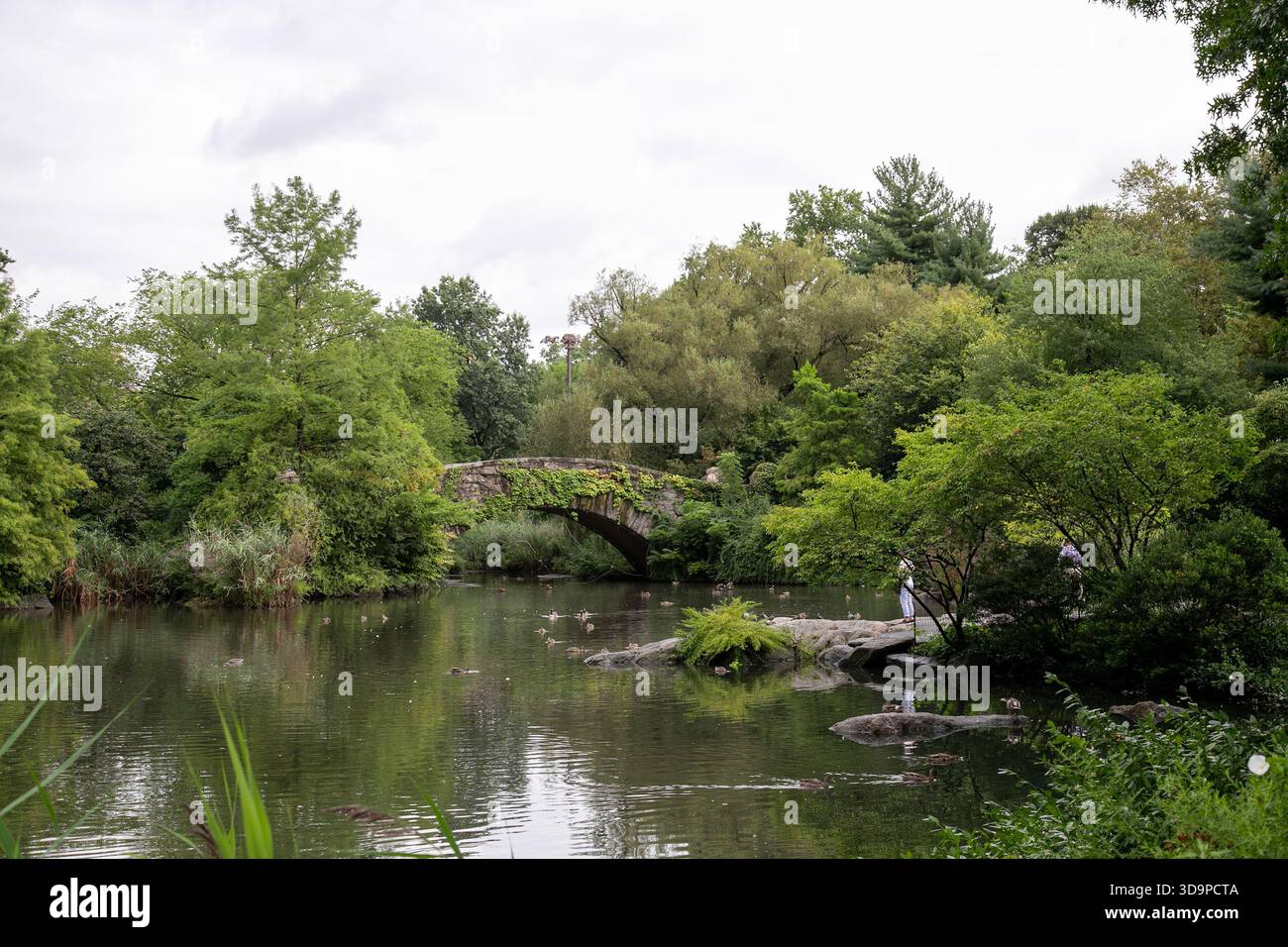 Il Central Park di New York City. Foto Stock
