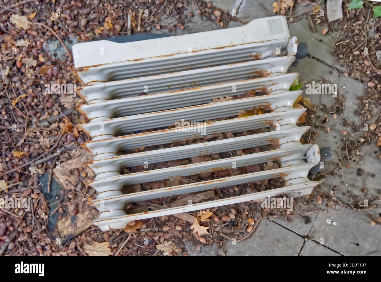 Un vecchio radiatore arrugginito che giace a terra circondato da foglie e detriti caduti. Il radiatore è dotato di alette multiple e mostra segni di usura e corrosione Foto Stock