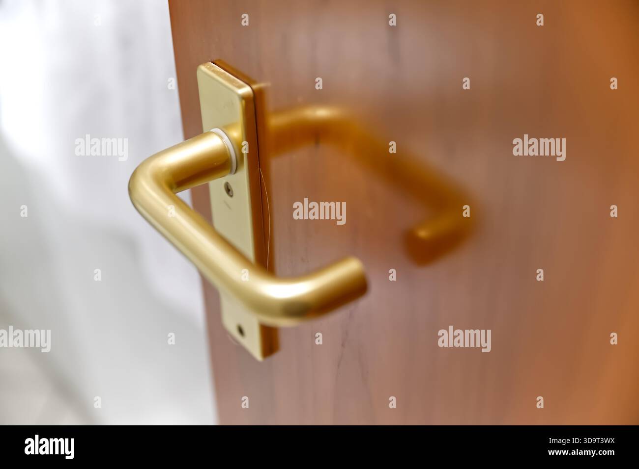 Primo piano di una maniglia dorata su una porta in legno, che mostra il suo design elegante e la finitura lucida e un singolo lucente Hair Foto Stock