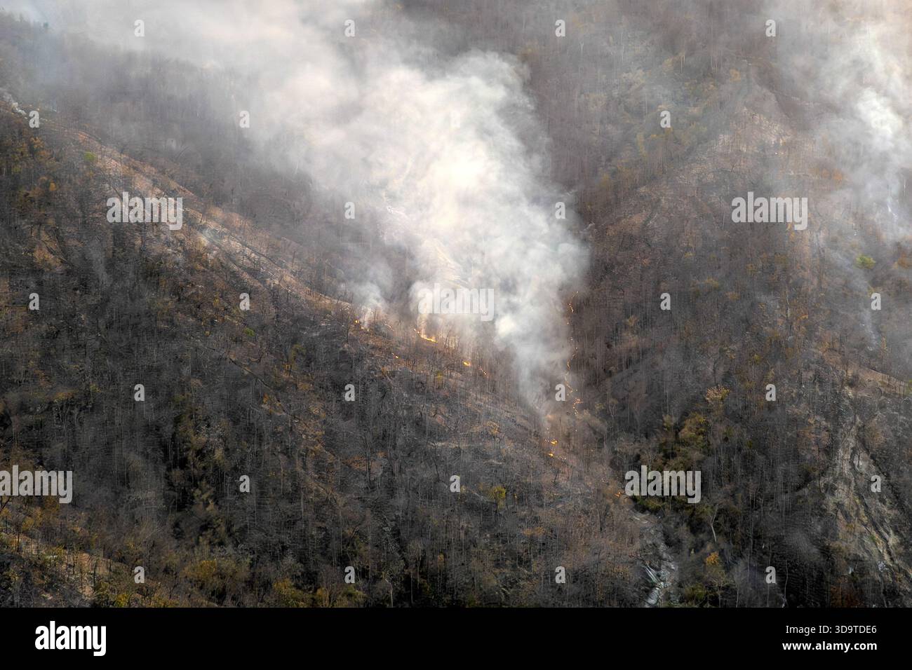 Incendio causato dalla caccia nella valle della foresta subtropicale. Foto Stock
