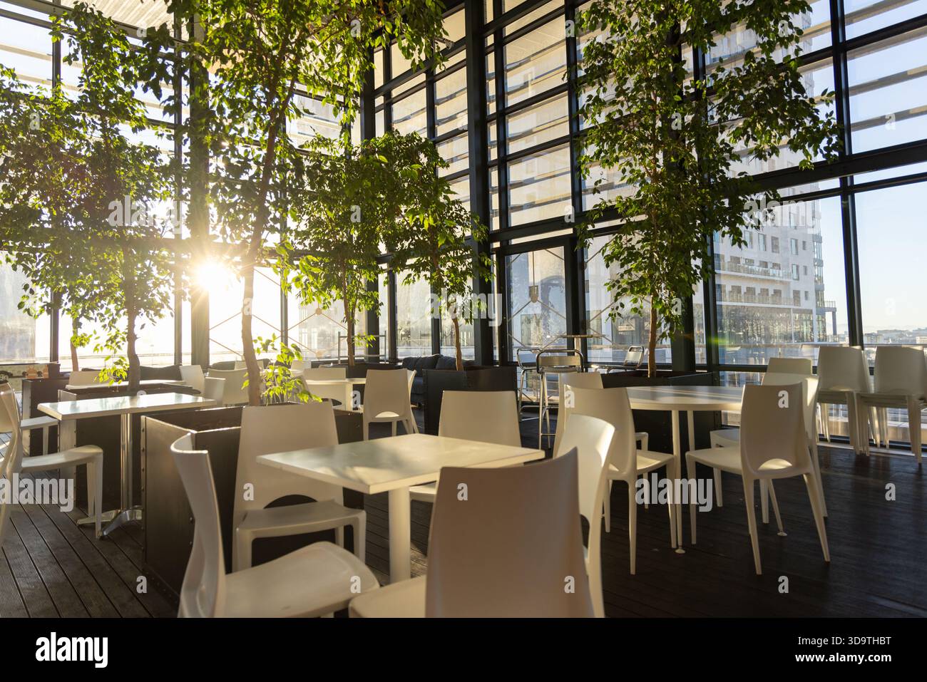 Tavoli e sedie bianchi si crogiolano sotto la luce del sole ad un'altezza elevata, gettando lunghe ombre Foto Stock