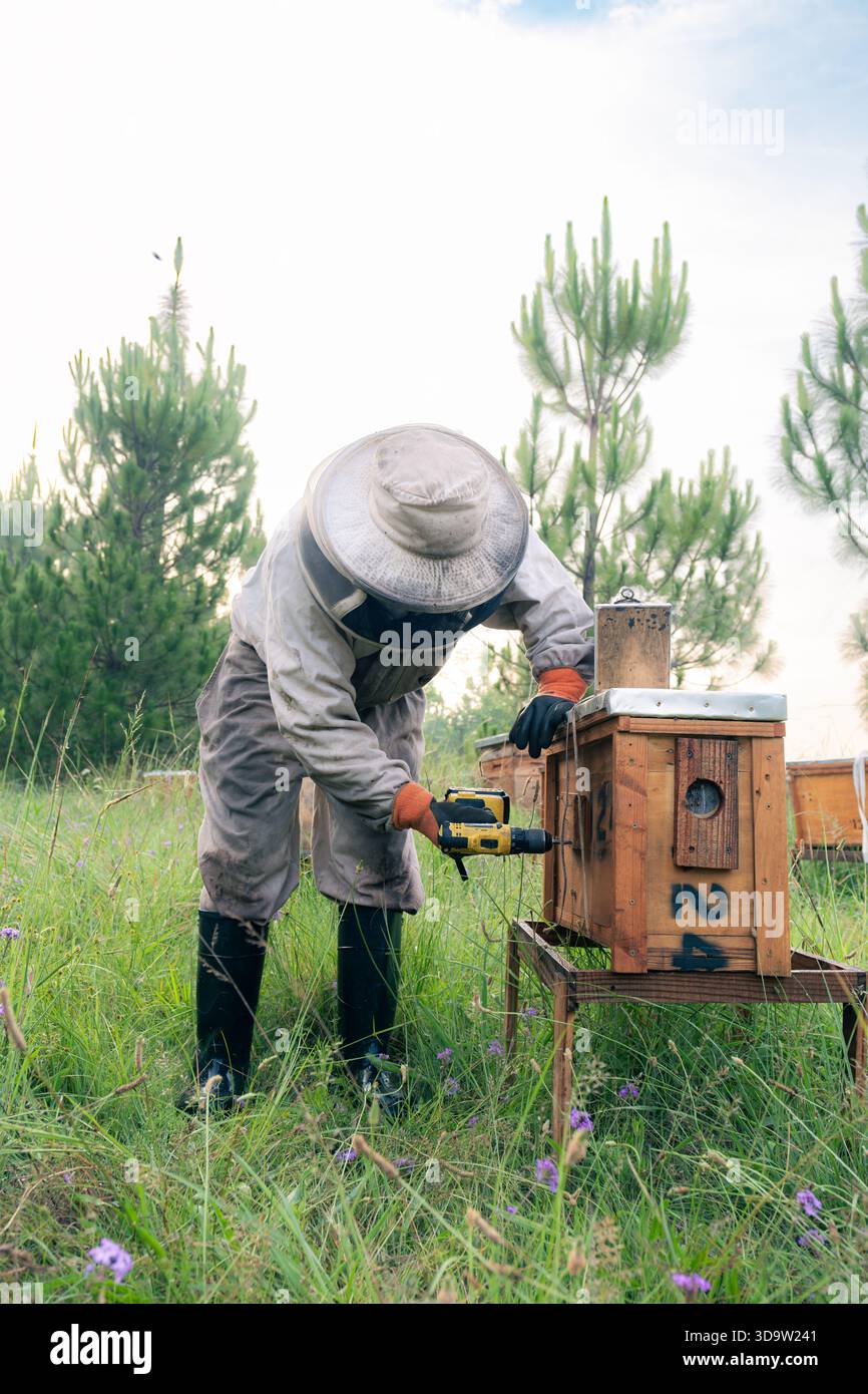 Apicoltore utilizzando un trapano elettrico per serrare una vite su un alveare di legno Foto Stock