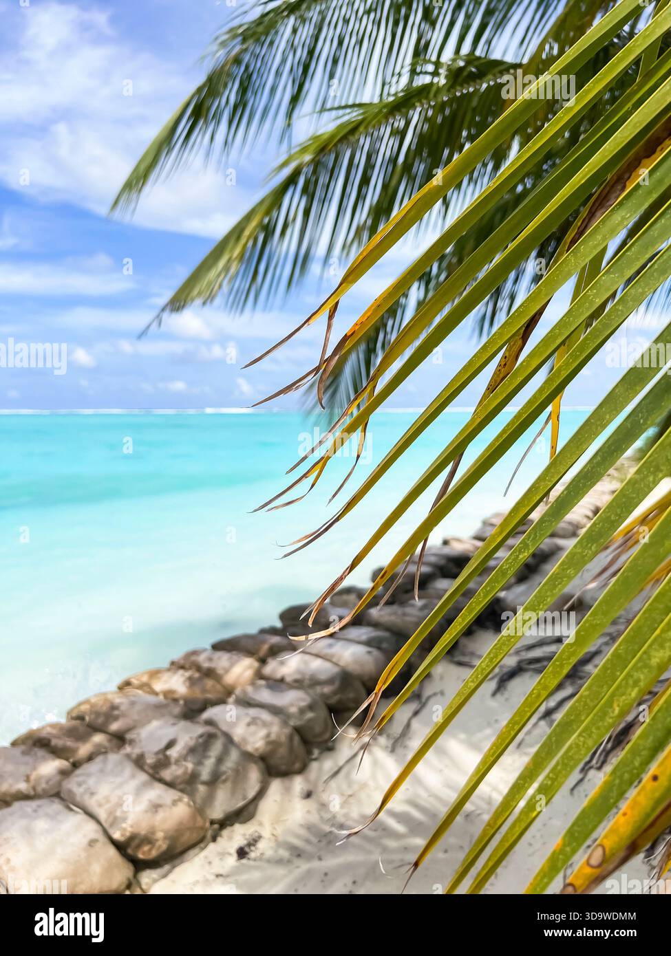 Perfetta cartolina dell'isola tropicale con colori vivaci, acqua calma e cielo blu alle Maldive Foto Stock