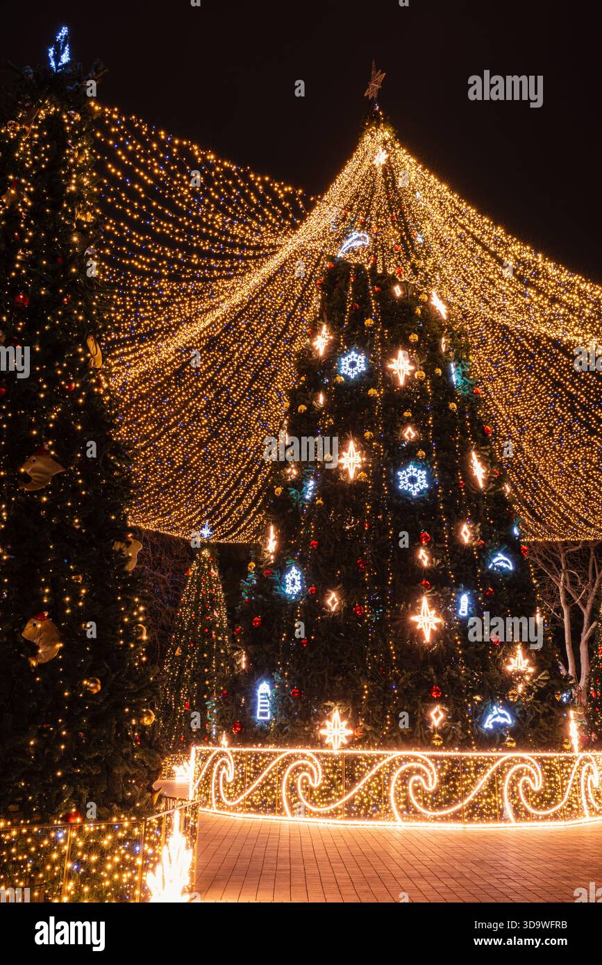 Alberi di Natale illuminati all'aperto in una piazza festosa della città notturna, creando una magica scena natalizia. Foto Stock