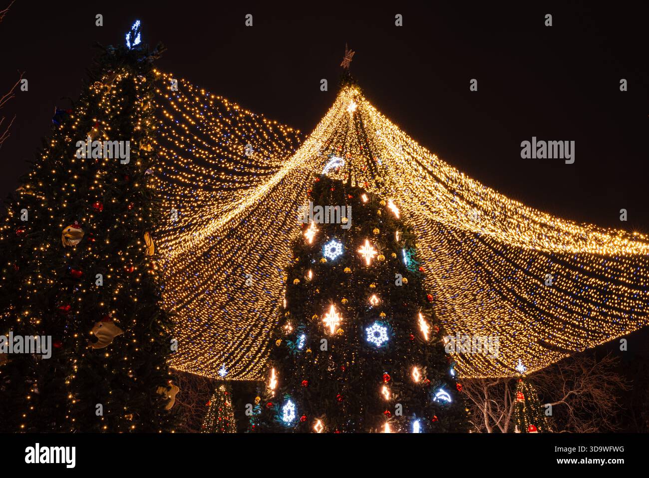 Alberi di Natale illuminati all'aperto in una piazza festosa della città notturna, creando una magica scena natalizia. Foto Stock