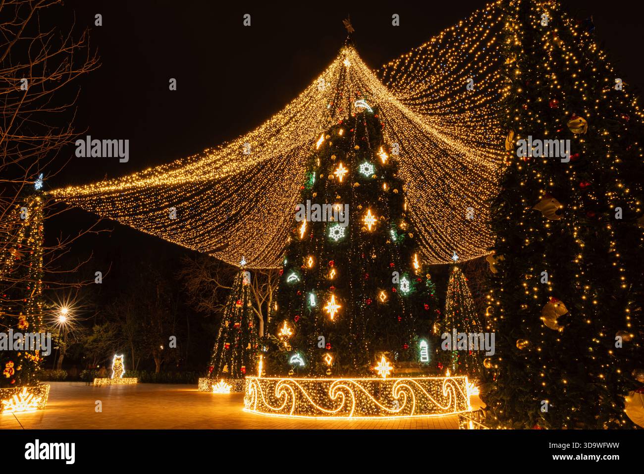 Alberi di Natale illuminati all'aperto in una piazza festosa della città notturna, creando una magica scena natalizia. Foto Stock