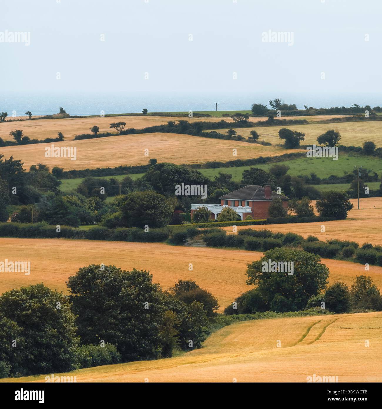 Idilliaco scenario di campagna caratterizzato da campi dorati, alberi verdeggianti e un'affascinante casa annidata nel paesaggio. Foto Stock