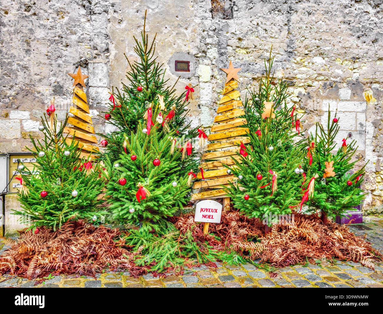 Alberi di Natale reali e artificiali nel centro della città - Loches, Indre-et-Loire (37), Francia. Foto Stock