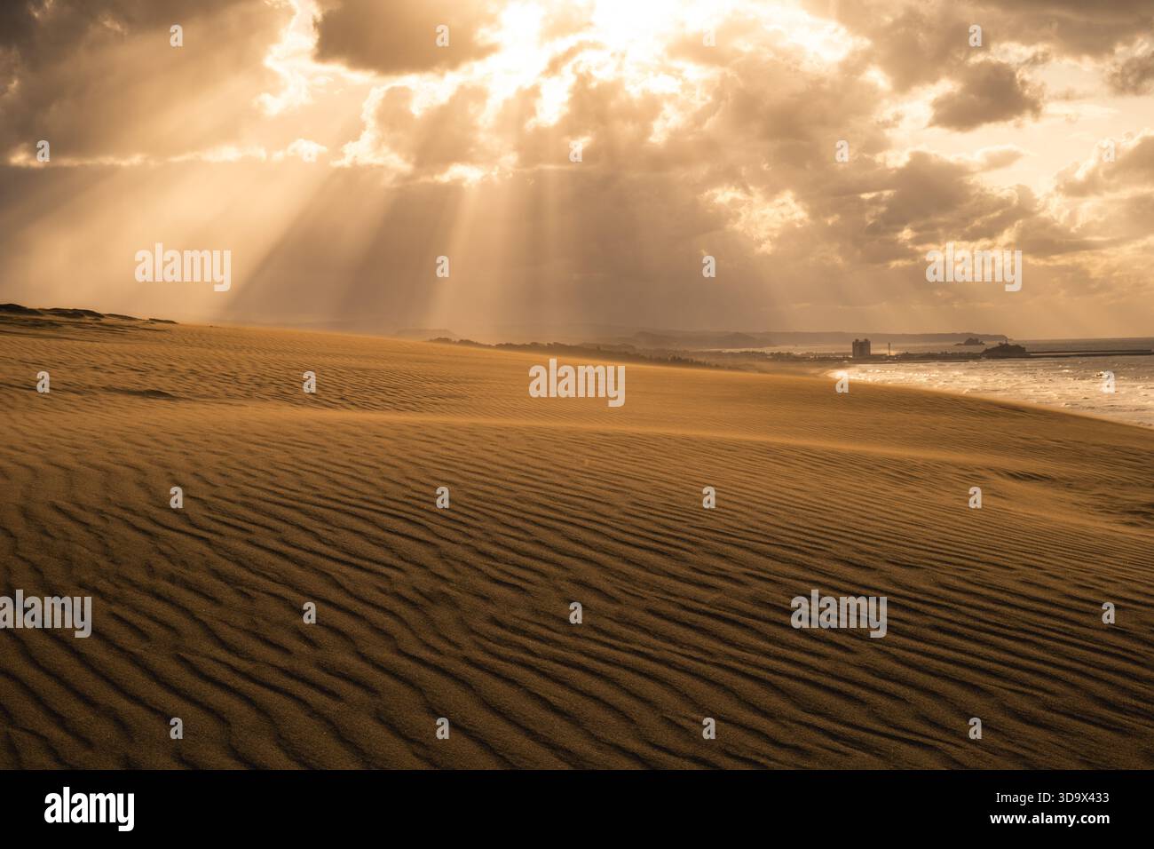 Modelli di sabbia delle dune di sabbia di Tottori nella prefettura di Tottori, in Giappone Foto Stock