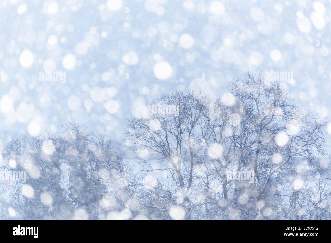 Neve che cade in un paesaggio rurale invernale, Regno Unito Foto Stock