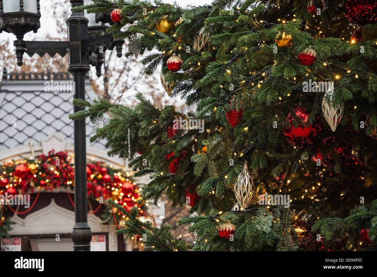 albero di natale - Categoria alberi di natale