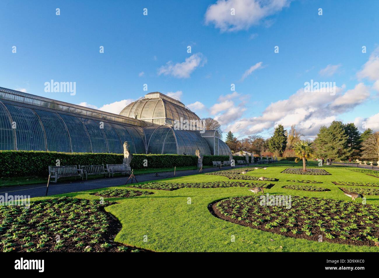 Esterno della Palm House presso i Royal Botanic Gardens Kew in una giornata di inverno soleggiato, Richmond, Surrey, Inghilterra, Regno Unito Foto Stock