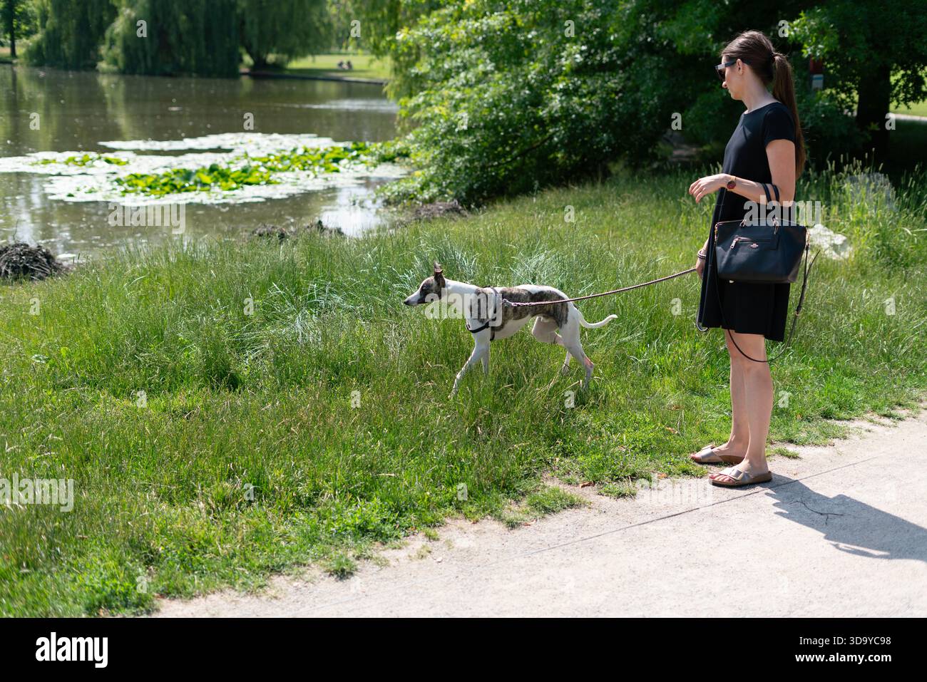 Parco Stromovka a Praga, Repubblica Ceca Foto Stock