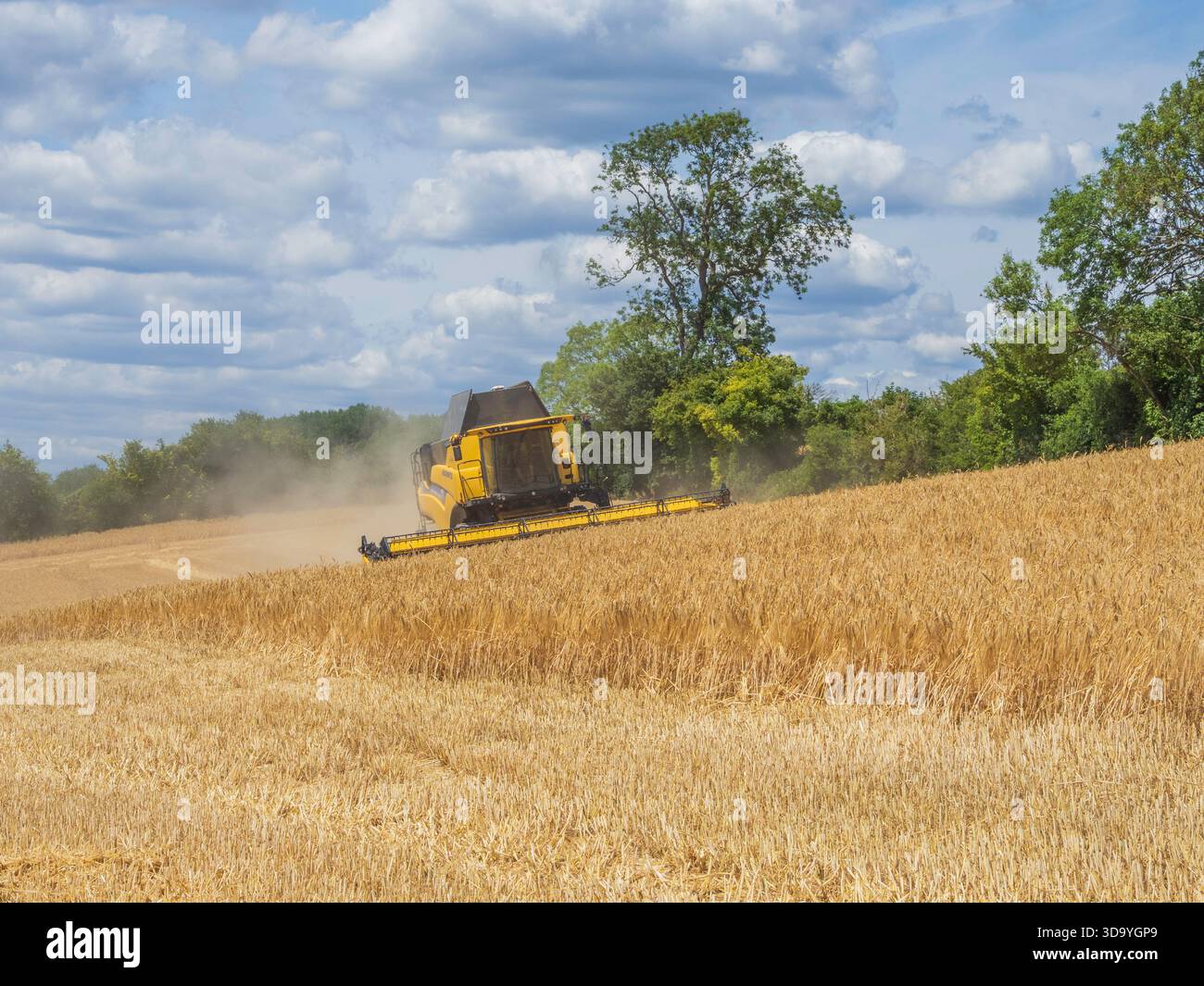 Chaldon, Ockley Hill, Surrey Foto Stock