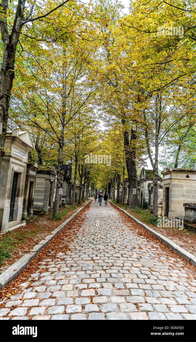 Scorcio di viale alberato con ciottoli nel monumentale Cimitero di Pere Lachaise, il più grande cimitero di Parigi, in Francia Foto Stock