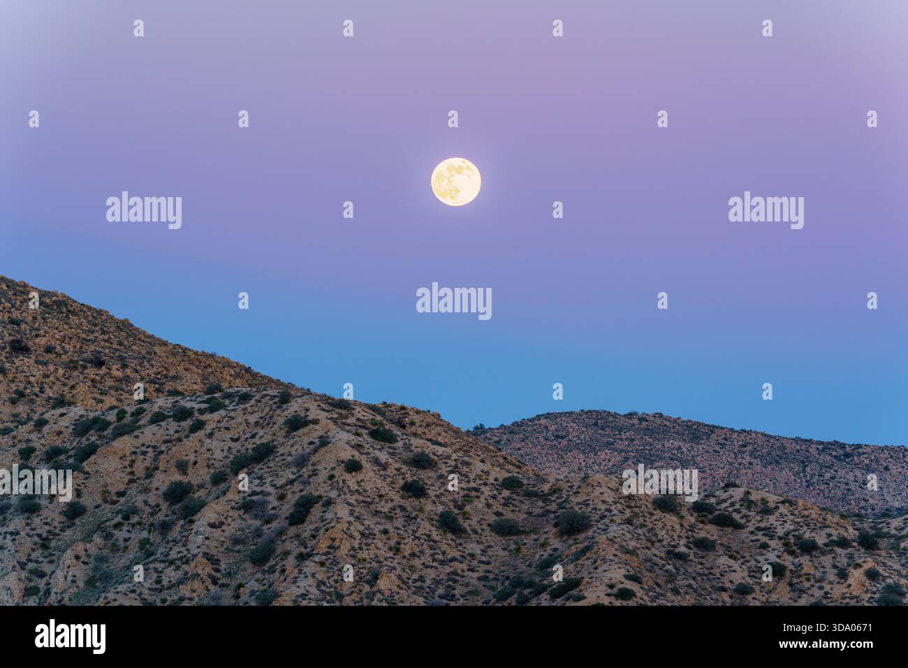 Luna fredda piena, super luna sulle montagne della Yucca Valley, California, il 2025 dicembre Foto Stock