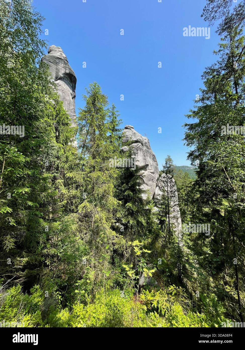 alberi verdi tra le rocce con il bel tempo - Immagine stock catturata con smartphone