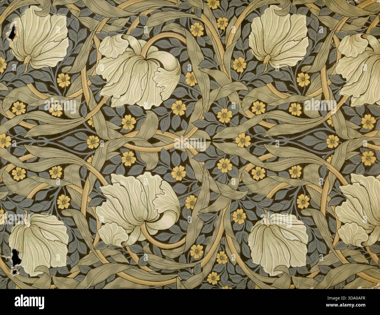 Pimpernel, 1876 di William Morris. Carta da parati iconica Arts & Crafts Illustrazione Vettoriale