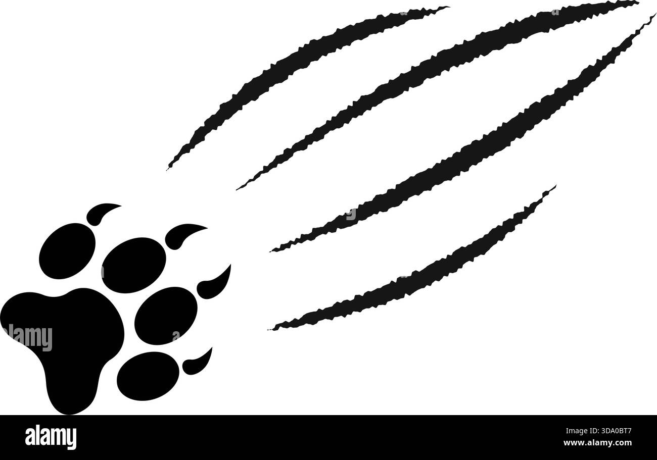 Stampa Paw con graffi di artiglio. I taloni di animali selvatici sono isolati su sfondo bianco. Cicatrici cutanee da attacco di tigre o leone, mostro o lupo mannaro. Spaventosa traccia strappata. Illustrazione grafica vettoriale. Illustrazione Vettoriale