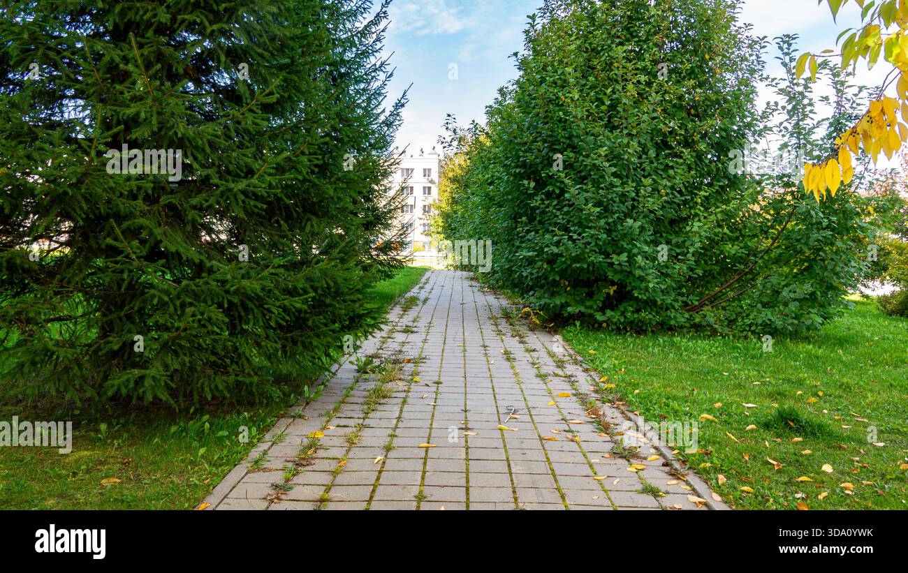 Prospettiva profonda del passaggio urbano inutilizzato consumato dalla vegetazione a causa della scarsa pianificazione paesaggistica, dell'attenzione selettiva Foto Stock