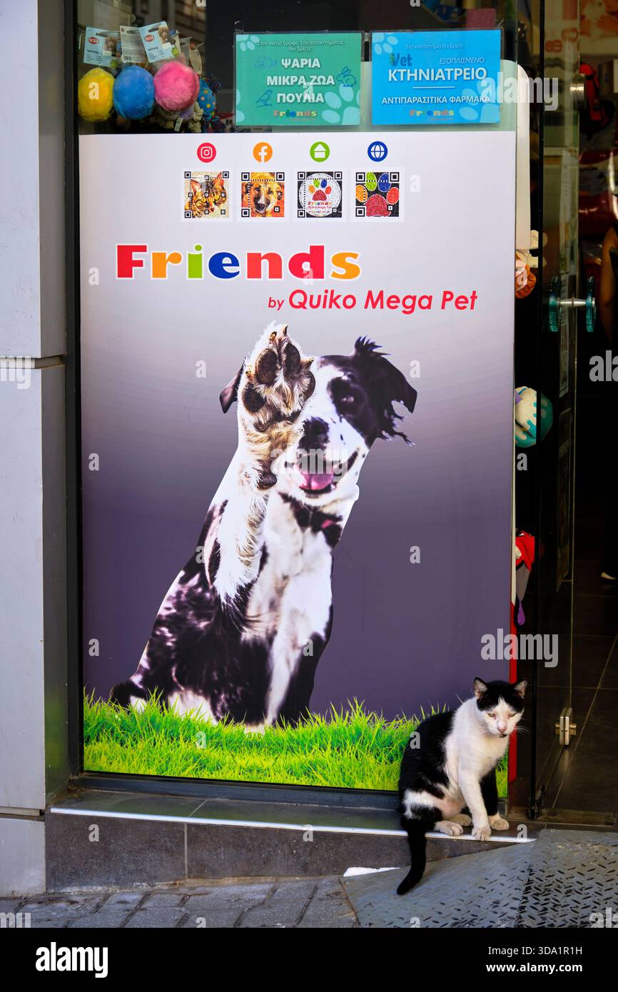 Grecia, Macedonia, Salonicco, gatto di fronte a un negozio di animali Foto Stock