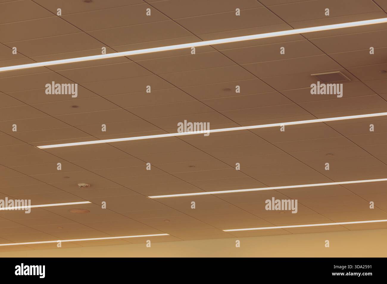 Luminose luci lineari si estendono sul soffitto del terminal aeroportuale. Foto Stock