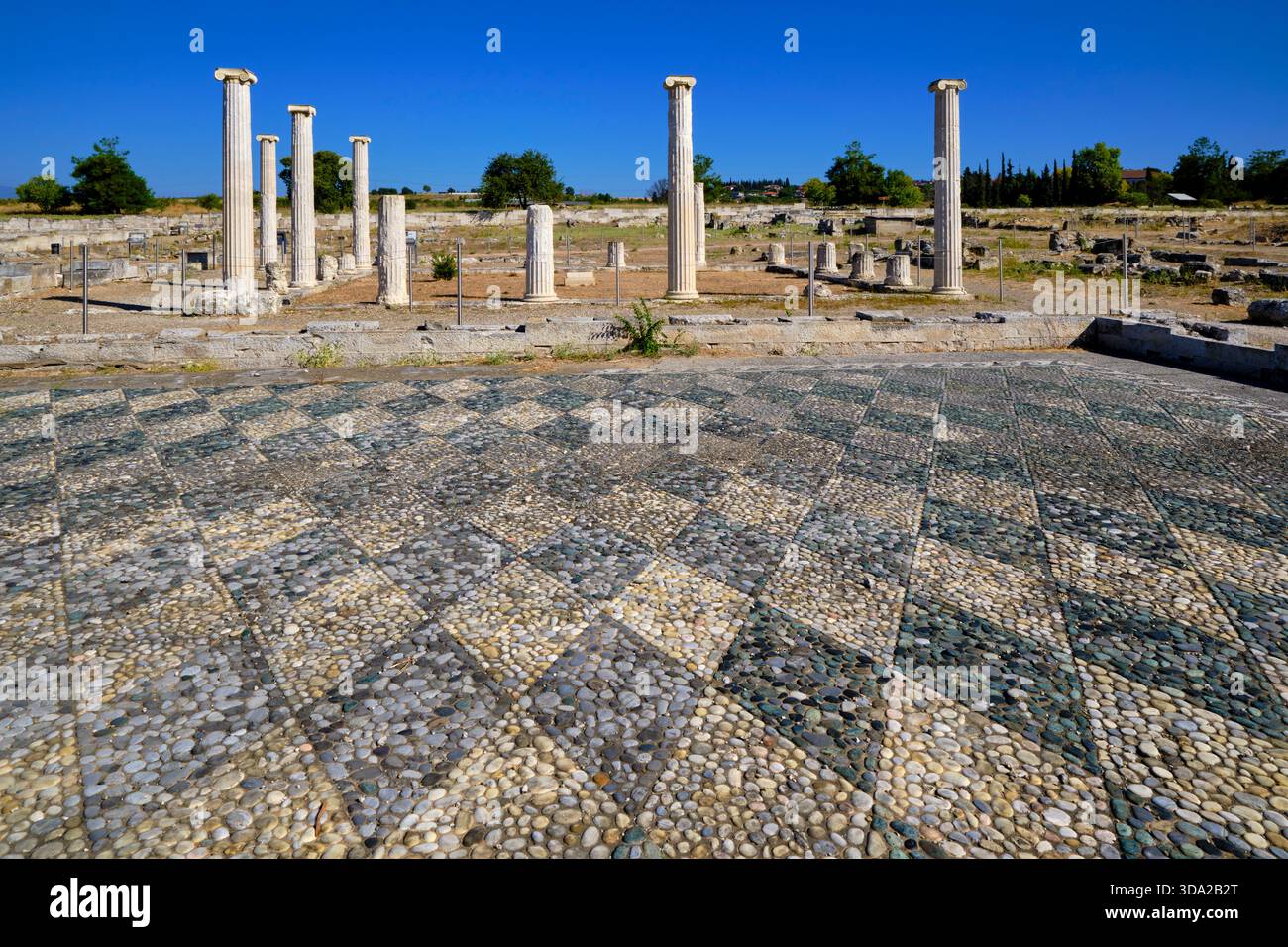 Grecia, Macedonia, Pella, sito archeologico Foto Stock