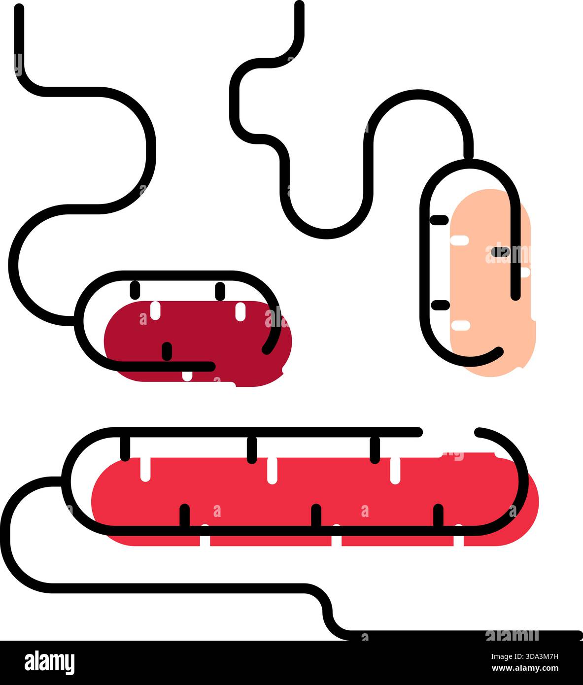 Illustrazione dell'apparato digerente umano con organi intestinali astratti Illustrazione Vettoriale