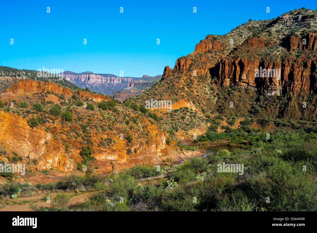 Salt River Canyon è un'area selvaggia all'interno della foresta nazionale di Tonto nello stato dell'Arizona. STATI UNITI. Foto Stock