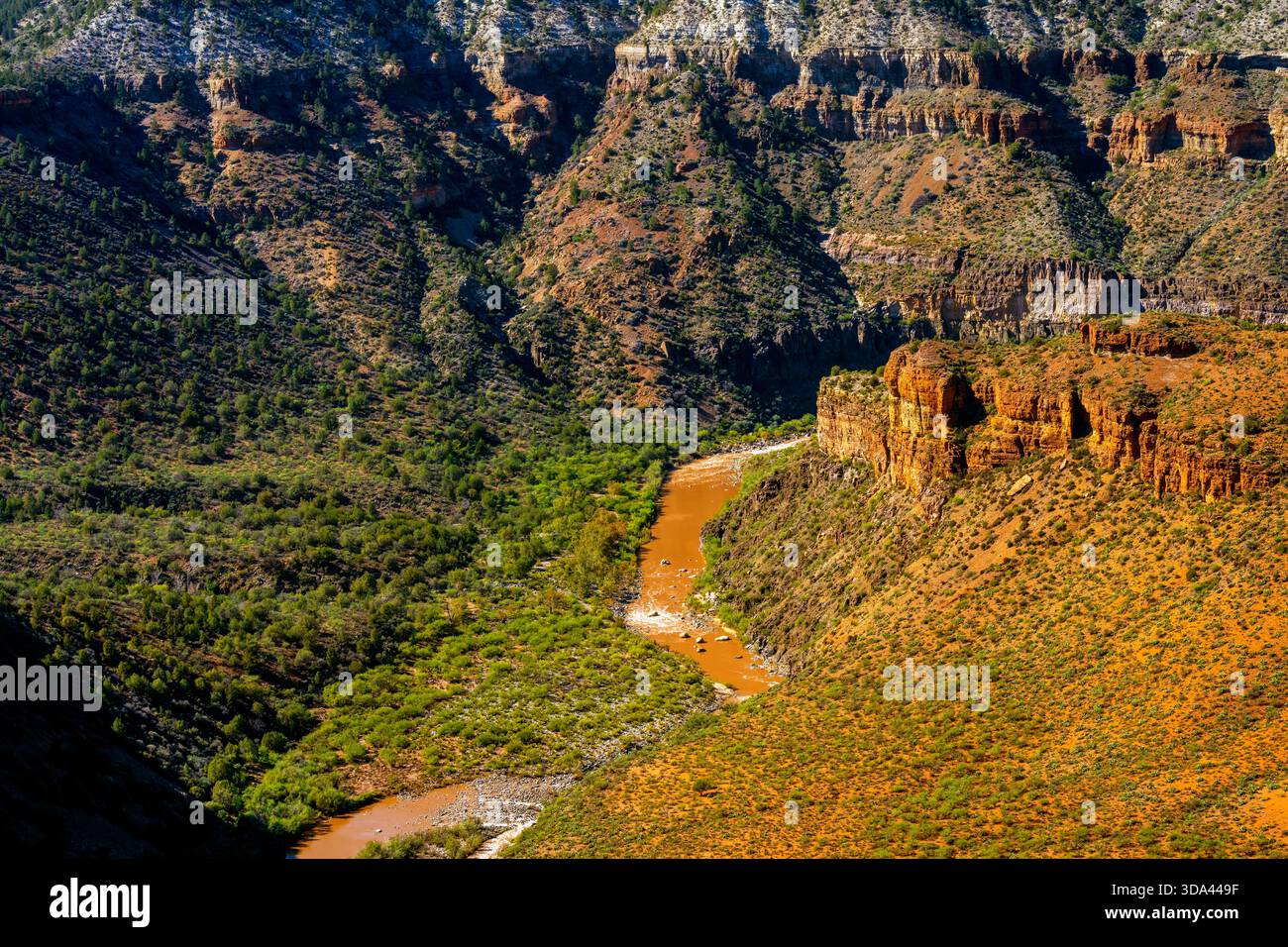 Salt River Canyon è un'area selvaggia all'interno della foresta nazionale di Tonto nello stato dell'Arizona. STATI UNITI. Foto Stock