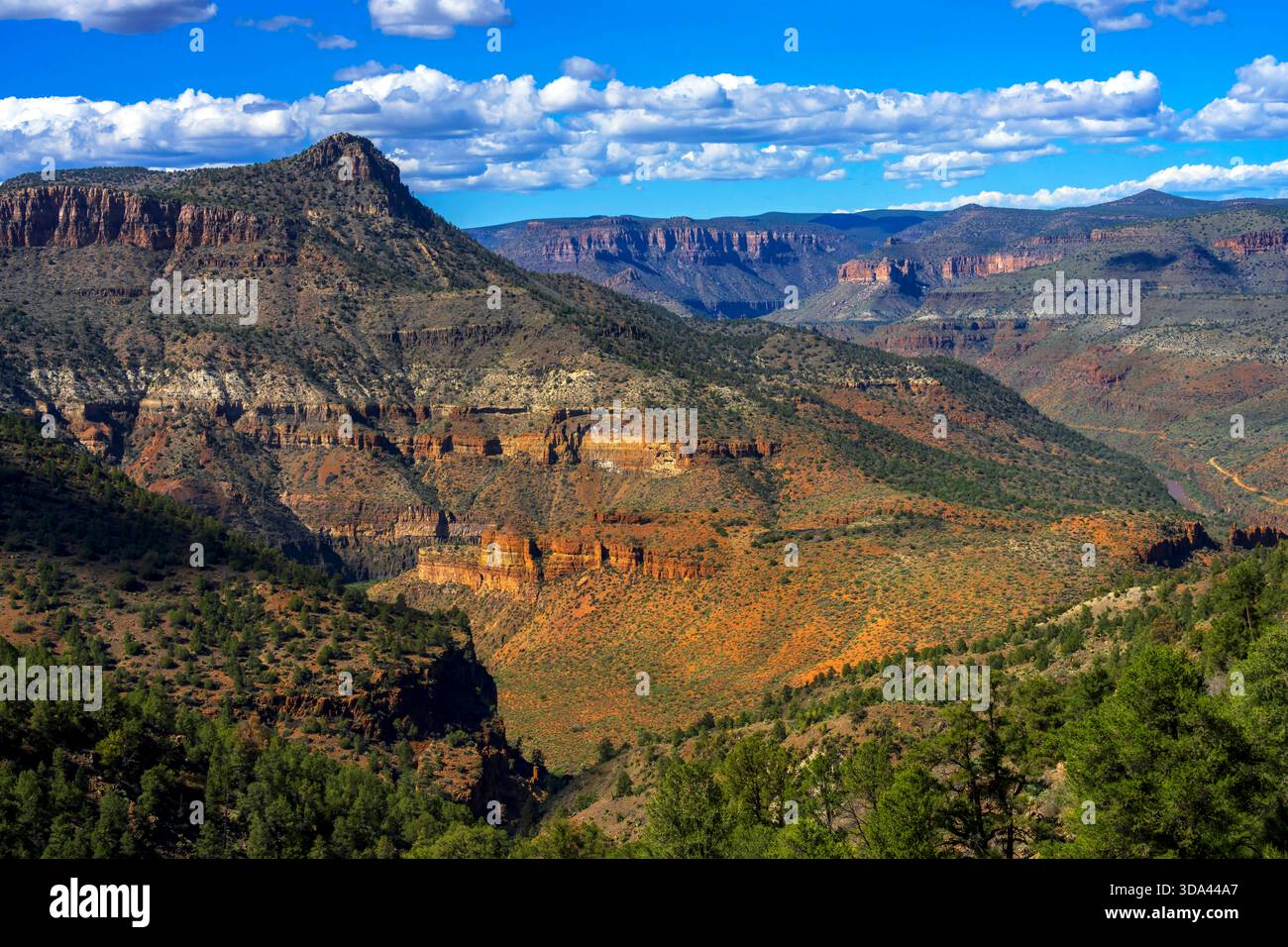 Salt River Canyon è un'area selvaggia all'interno della foresta nazionale di Tonto nello stato dell'Arizona. STATI UNITI. Foto Stock