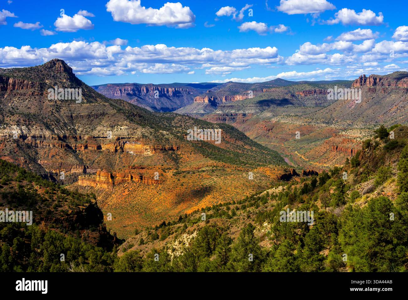 Salt River Canyon è un'area selvaggia all'interno della foresta nazionale di Tonto nello stato dell'Arizona. STATI UNITI. Foto Stock