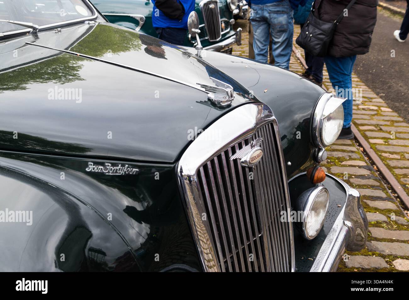 Logo di Green Wolseley 4/44, 1250cc dal 1956 Foto Stock