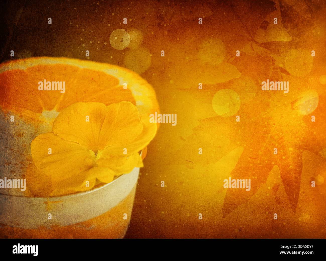Cocktail natalizio di colore arancione. Umore autunnale. Fotografie artistiche con bevande dai toni ambrati intensi Foto Stock