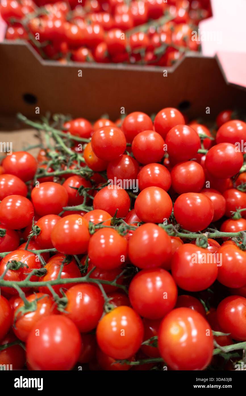 Pomodori ciliegini rossi freschi sulla vite in un mercato, perfetti per un'insalata biologica sana o ingrediente vegetariano Foto Stock