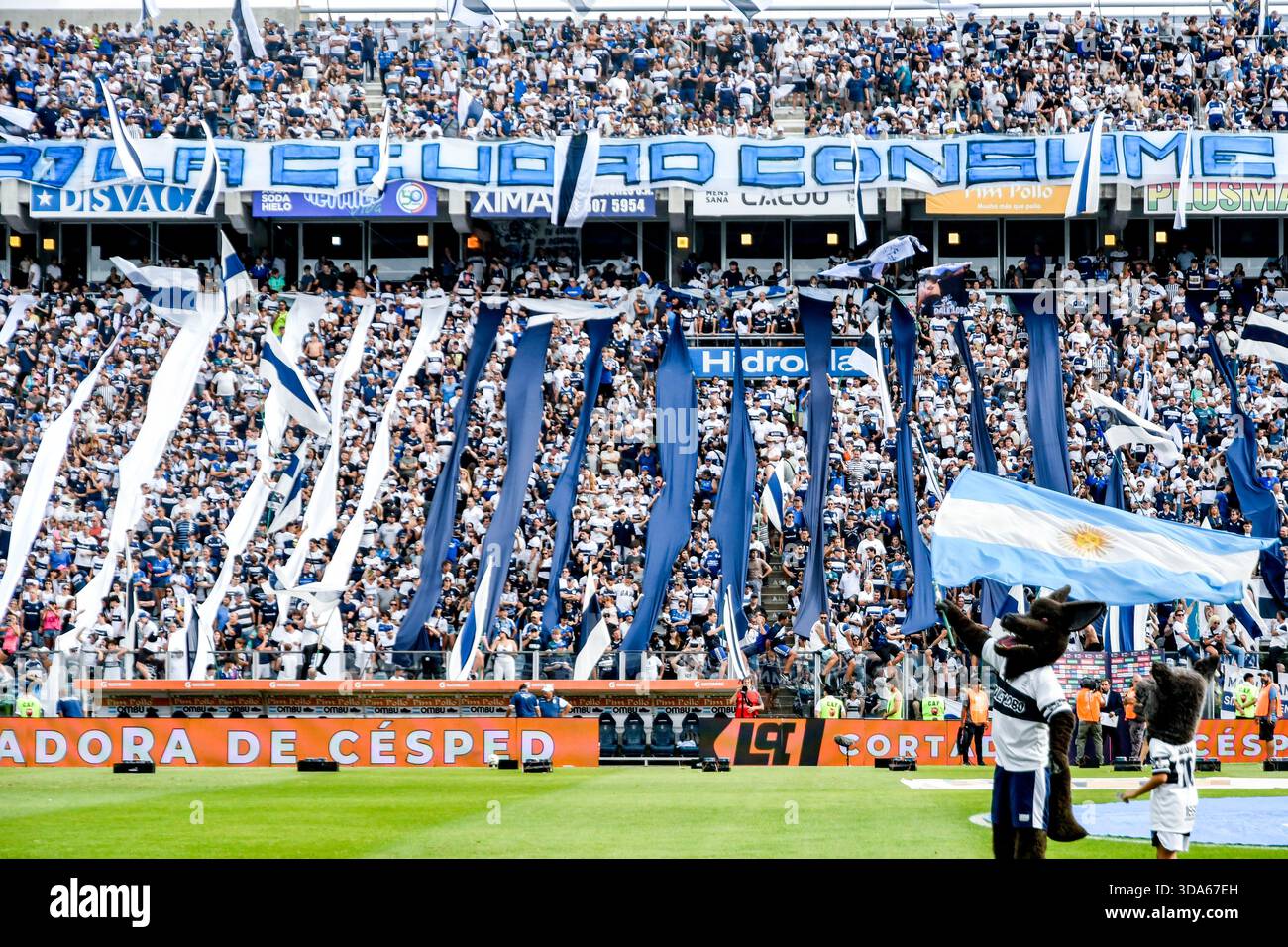 A la Plata, Buenos Aires, Argentina. 8 dicembre 2025. Tifosi della Gimnasia de la Plata nella partita tra Gimnasia y Esgrima de la Plata e Estudiantes de la Plata. In una nuova edizione del Clasico di la Plata City Football, in una nuova edizione del Clasico di la Plata City Football, gli Estudiantes si sono qualificati per il Torneo di finale. Juan Carmelo Zerillo, Stadio El Bosque. Crediti: Facundo Morales/Alamy Live News Foto Stock