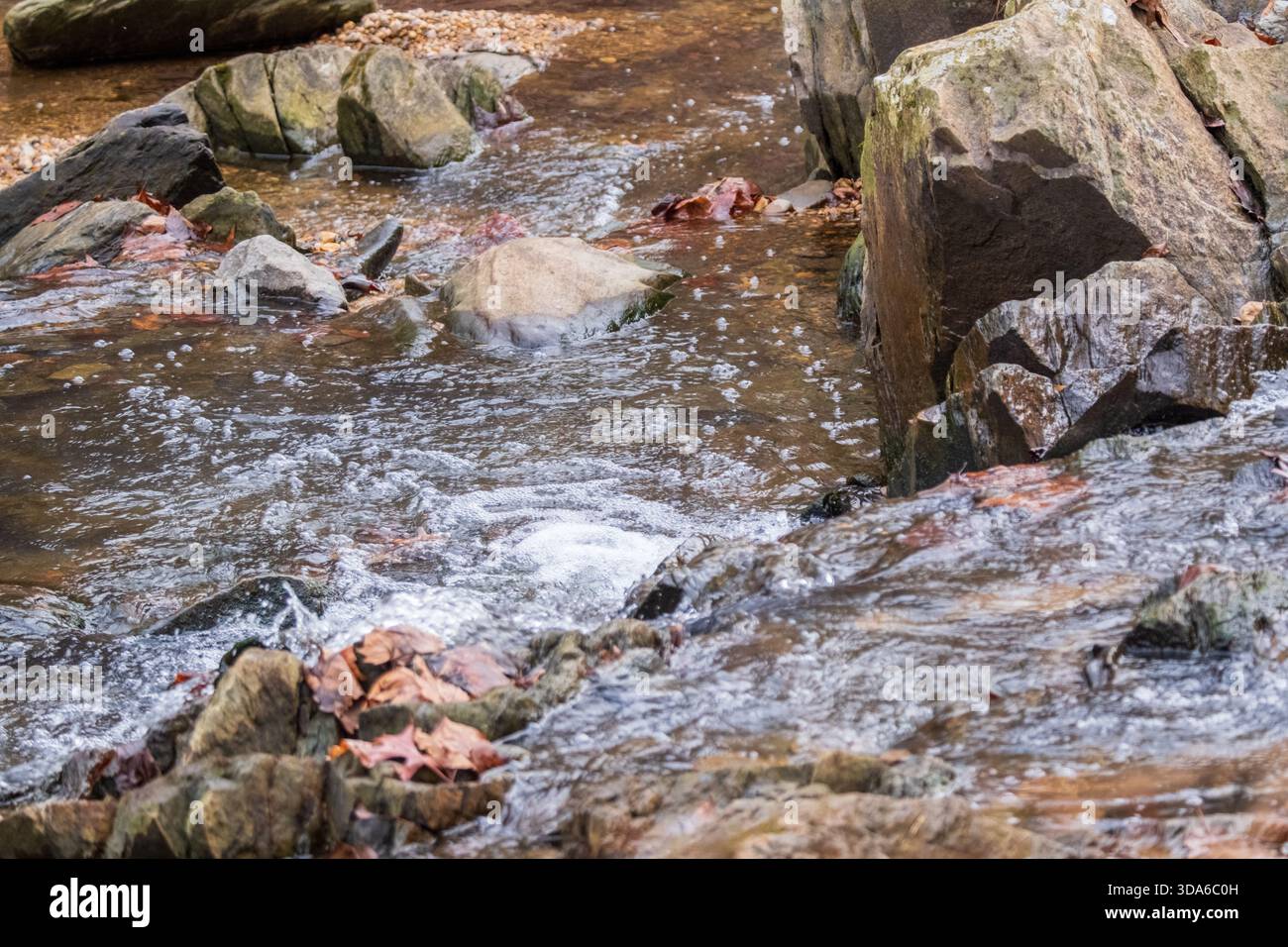 Primo piano di ruscelli rocciosi poco profondi con piccole rapide e foglie autunnali, Scott's Run Nature Preserve, Fairfax County, Virginia, USA Foto Stock