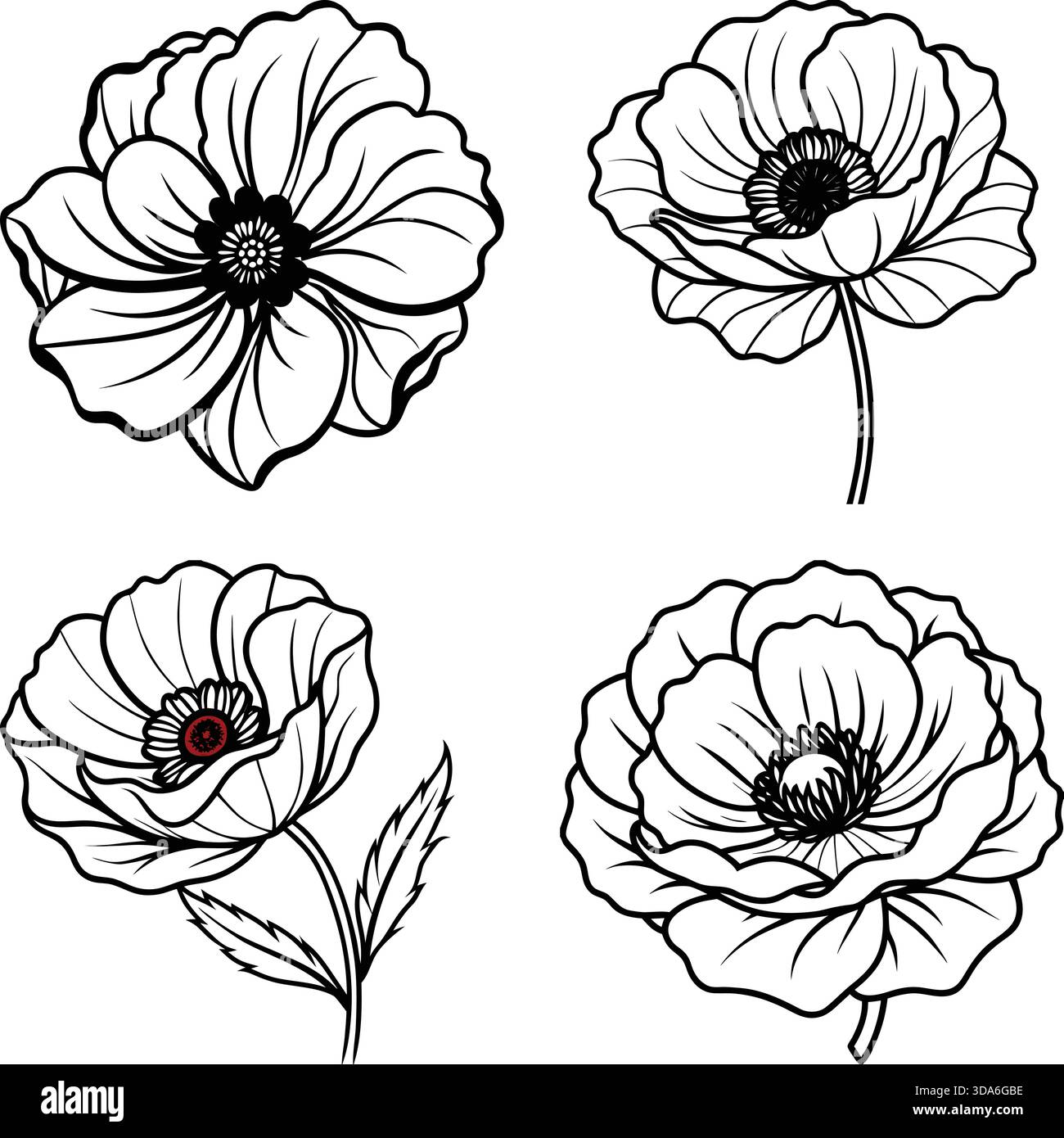 Set vettoriale di fiori papavero: Petali audaci con uno stile moderno e pulito. Illustrazione Vettoriale