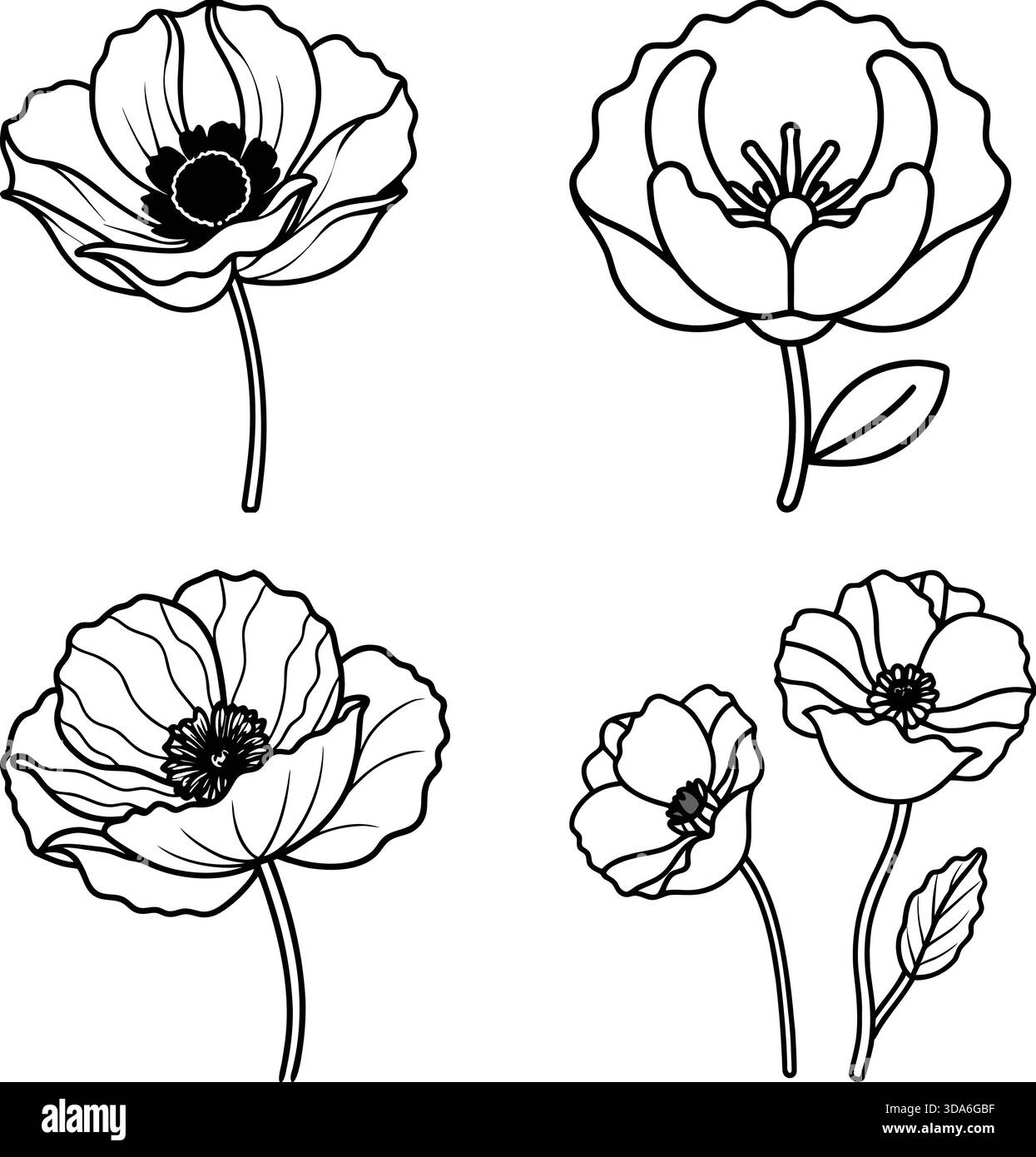 Set vettoriale di fiori papavero: Petali audaci con uno stile moderno e pulito. Illustrazione Vettoriale