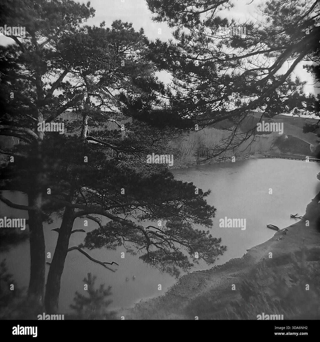 Villaggio di Bohorodychne, regione di Donetsk, RSS Ucraina, URSS - 1970: Una vista panoramica ad alto angolo del tortuoso fiume Seversky Donets visto attraverso i rami di vecchi pini su una ripida scogliera. Piccole barche a remi in legno sono ormeggiate sulla riva sabbiosa del fiume vicino ad un ponte di pontone distante. Questa suggestiva foto d'archivio in bianco e nero cattura la bellezza naturale mozzafiato e il tranquillo paesaggio della regione del Donbass durante l'era sovietica. Attività ricreative estive nella zona delle Holy Mountains. Foto Stock