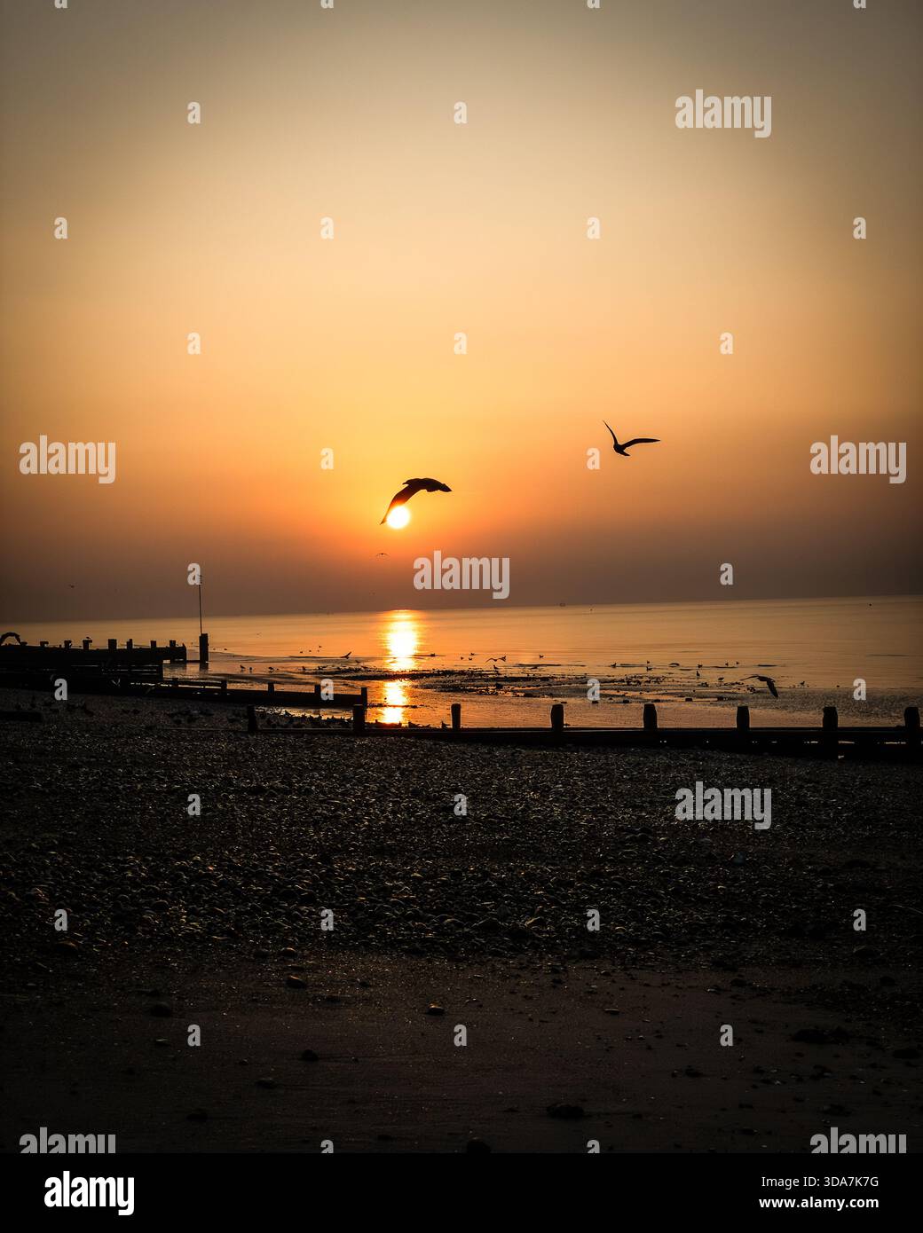 Gli uccelli volano oltre il sole all'alba sulla spiaggia di Worthing - Immagine stock catturata con smartphone