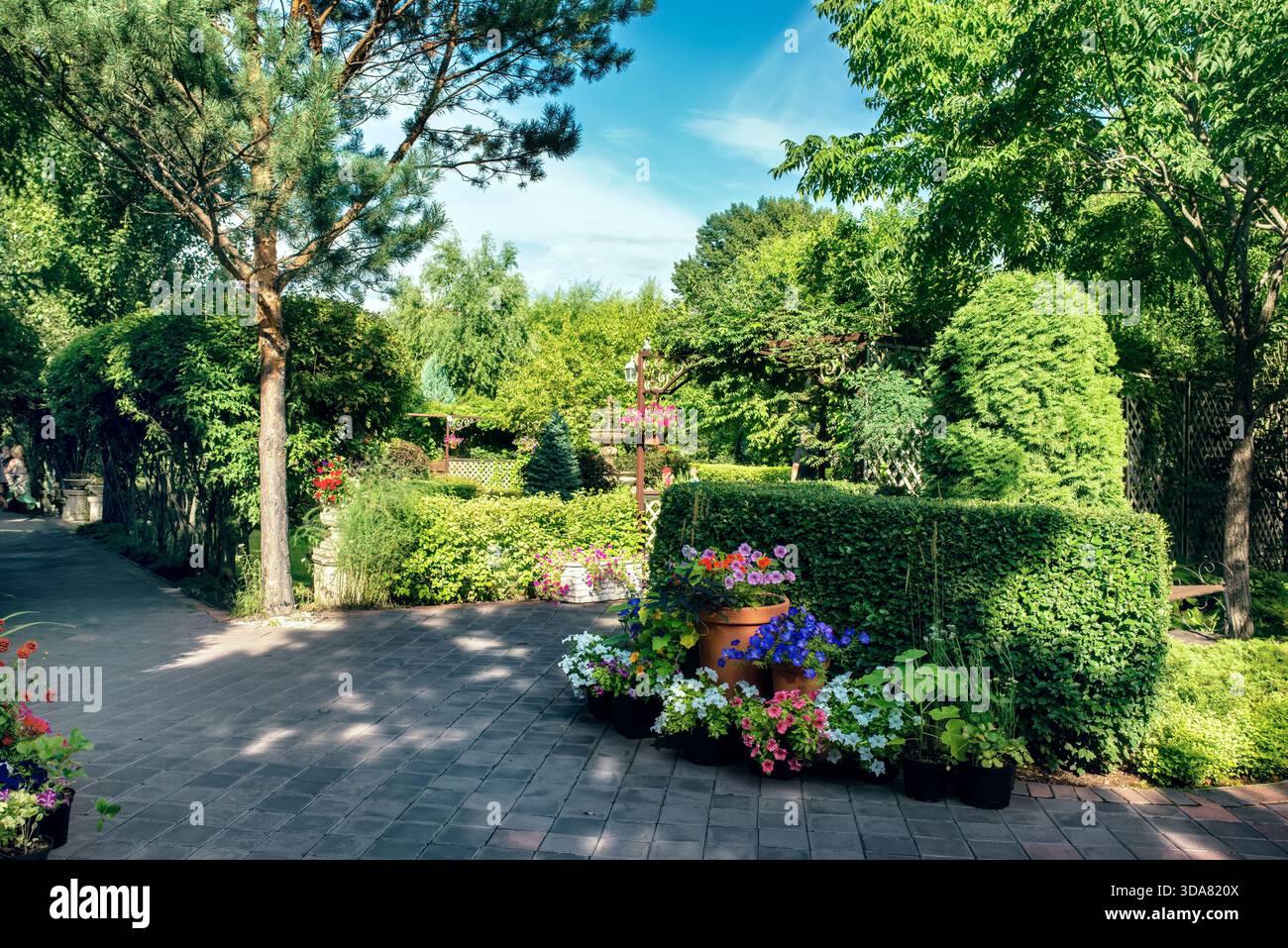 Un bellissimo giardino con prato verde, siepe, cespugli e alberi. Foto Stock