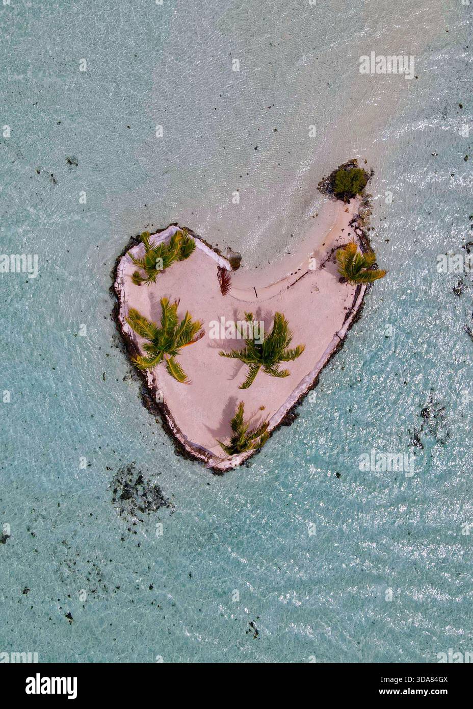 Unico colpo di drone dall'alto verso il basso di un piccolo Motu (isola) perfettamente a forma di cuore con palme, che simboleggia il romanticismo nella laguna di Tahaa'a. Foto Stock