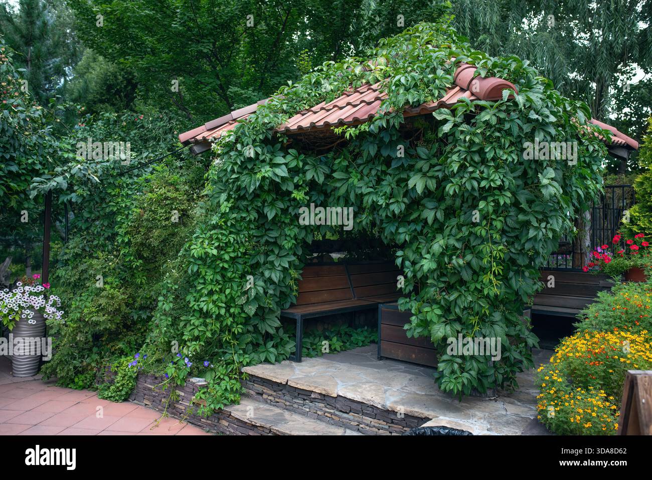 Un bellissimo giardino europeo con recinzioni verdi, prati, alberi, cespugli. Foto Stock